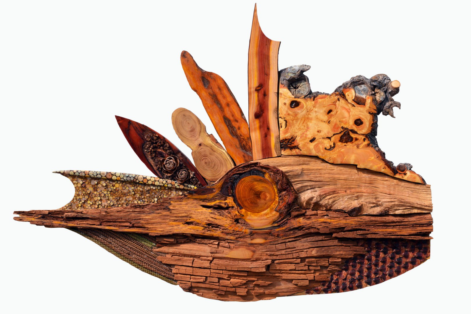 Tête d'oiseau (2019)