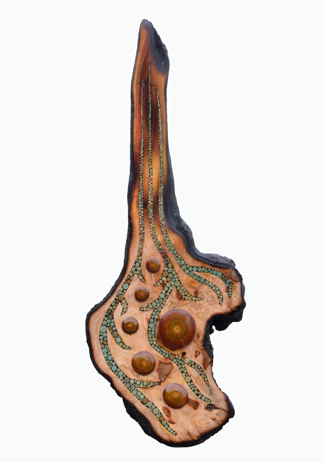 Sauvé du feu (2019)