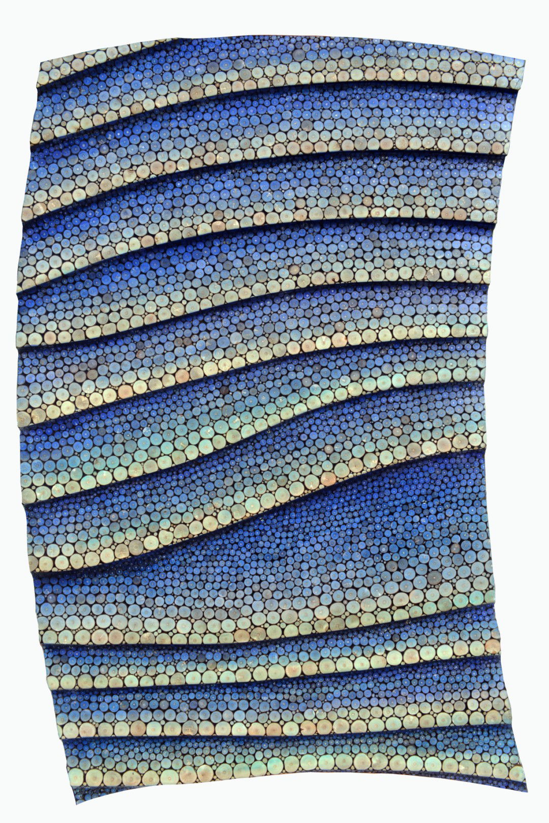 Vagues océanes (2019)