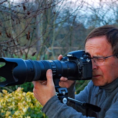 À propos / about / acerca de image