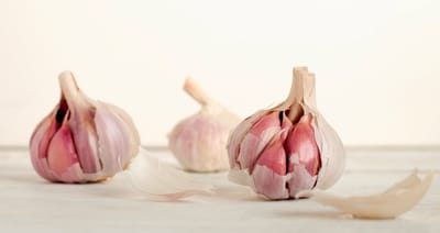 Prevenção Natural | Plantas Medicinais