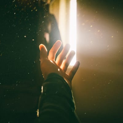 Pedido de União  |  Forças da Luz