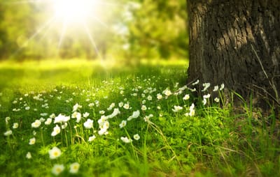 Ostara | Equinócio de Primavera