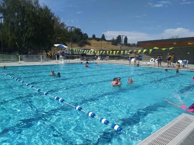 Buy a Brick To Help Fill The Pool! image