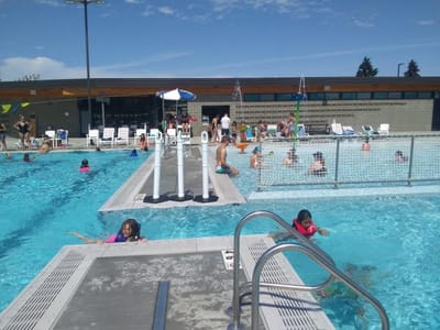 Buy a Brick To Help Fill The Pool! image