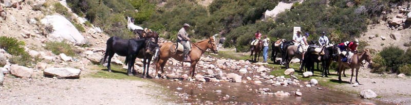 CABALGATAS