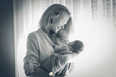 Crónica de una noche eterna