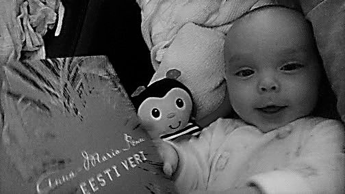 Así se mueren las ideas. Y los libros.