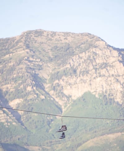 [quote]  Pamela McFarland Walsh