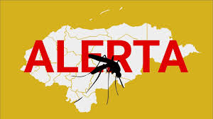Alerta contra el Dengue