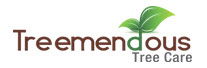 Treemendous Tree Care