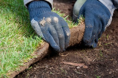 Points Of Interest Of Obtaining Capable Garden Trimmers image