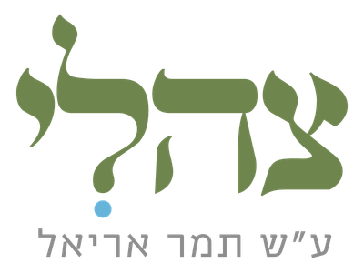 מכינת צהלי | מכינה קדם צבאית לבנות דתיות