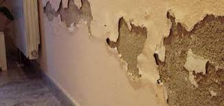 تأثير الرطوبة على المباني image