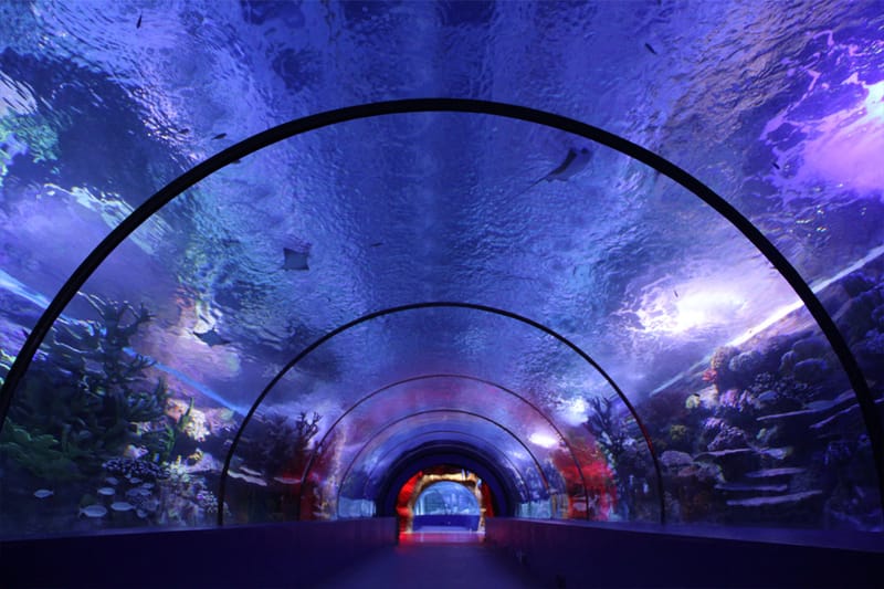 Antalya Aquarium  - 30$. Группа более 30 чел. - 25$