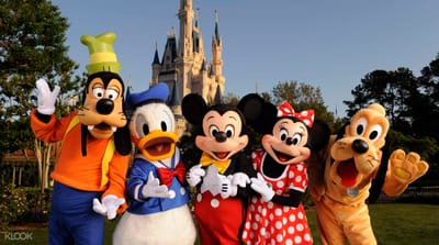 올랜도 go go 여행 image