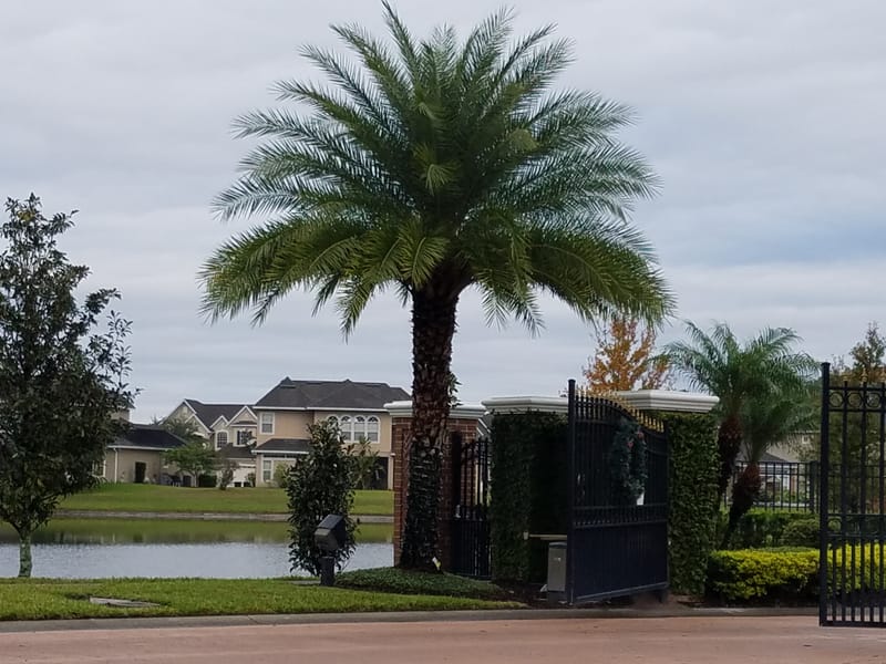 홈스테이 올랜도 go go