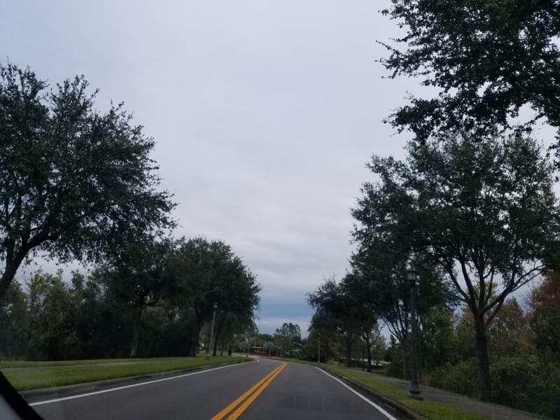 홈스테이 올랜도 go go