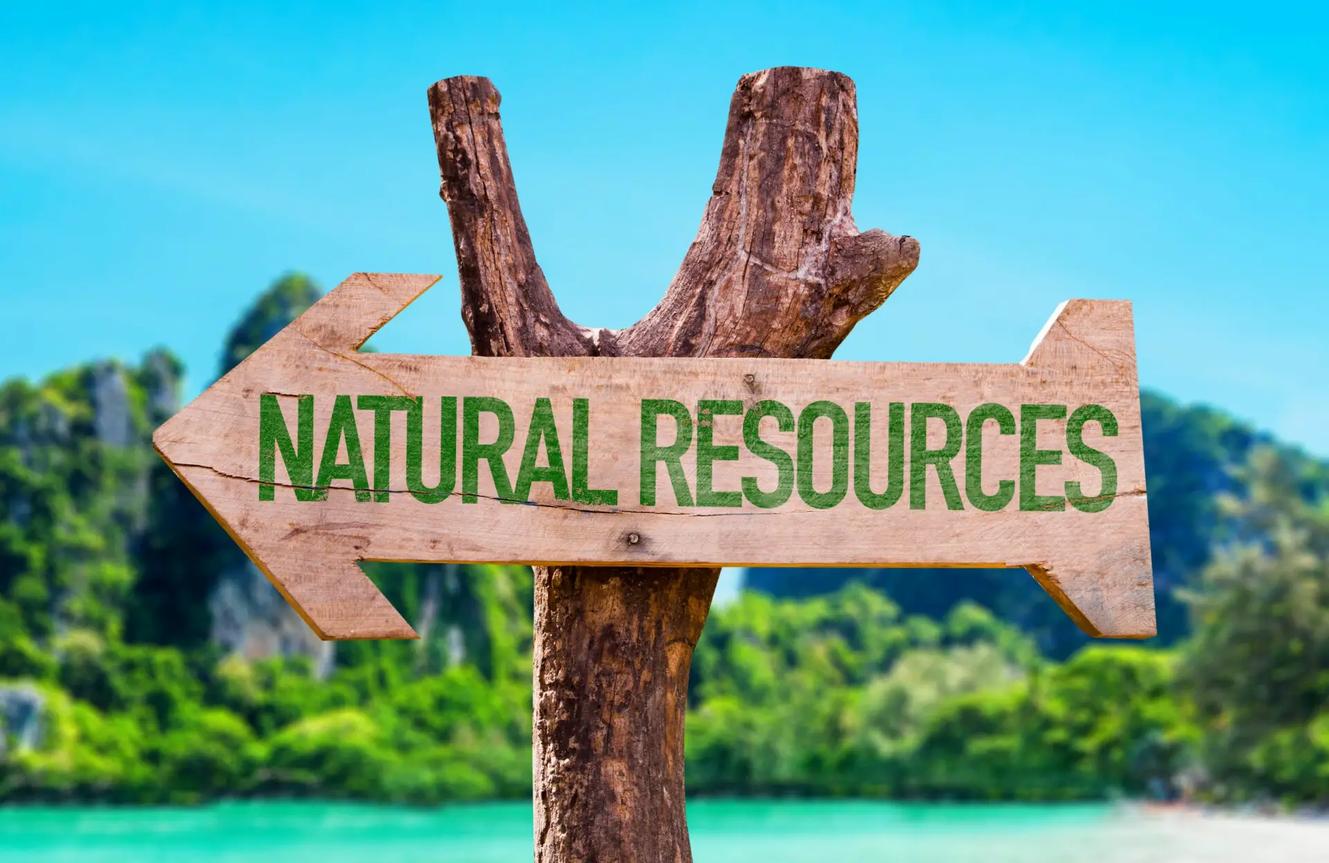 UTILIZATION OF NATURAL RESOURCES, WHY NOT FULLY UTILISED?