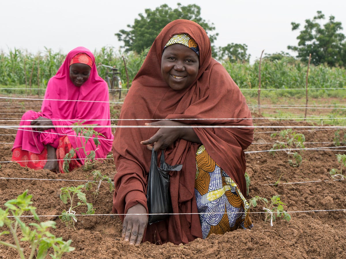 ISSUES OF POST-HARVEST LOSES AND ITS IMPLICATIONS ON AGRICULTURAL PRODUCTION AND SUSTAINABLE PRODUCTIVITY IN AFRICA