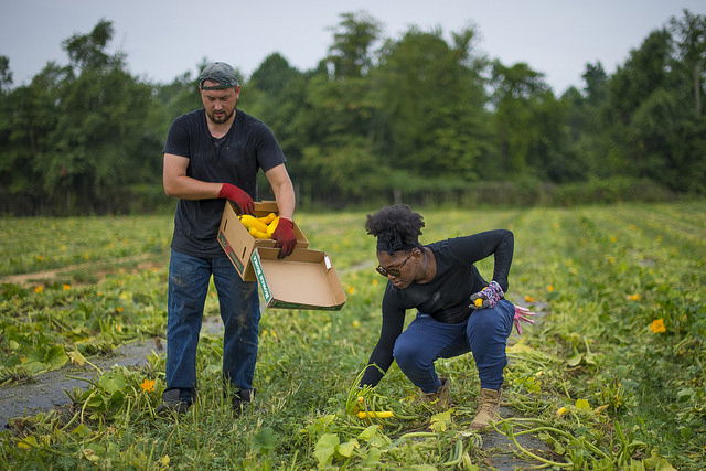 THE NEED FOR INVESTORS AND STAKEHOLDER'S  PARTNERSHIP TO TACKLE THE ISSUES OF POST-HARVEST LOSES TO ENSURE GOOD YIELD EACH SEASON TO INCREASE PRODUCTIVITY.