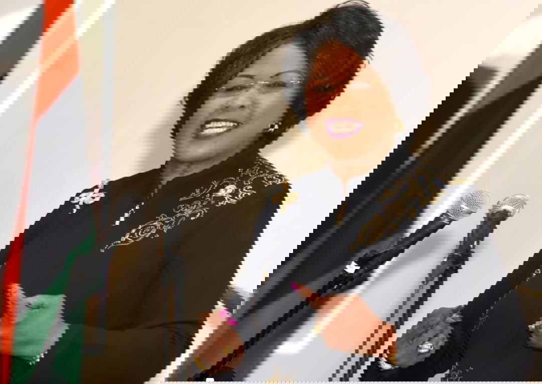 Struggles of African and developing countries is what props the IMF&World Bank — Arikana Chihombori-Quao