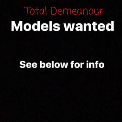 Total Demeanour Models  image