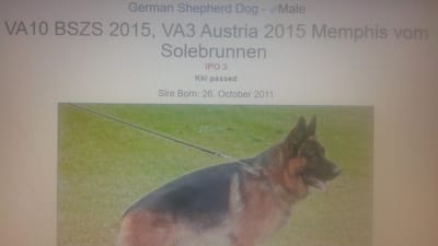 BREEEDING REQUIREMENTS IN GERMANY ! image