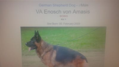 BREEEDING REQUIREMENTS IN GERMANY ! image