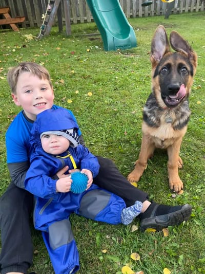 faq (important info on exercising further down the page) image