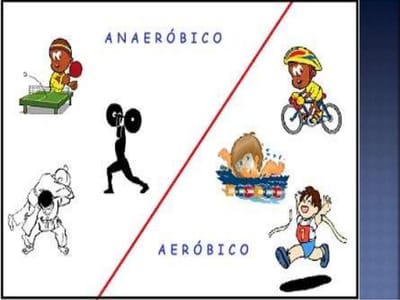 EXERCISE TRAINING FOR MANAGEMENT OF PERIPHERAL ARTERIAL DISEASE: A SYSTEMATIC REVIEW AND META-ANALYS image