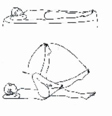 PHYSIOTHERAPY FOR INTERMITTENT CLAUDICATION: A REVIEW ARTICLE image