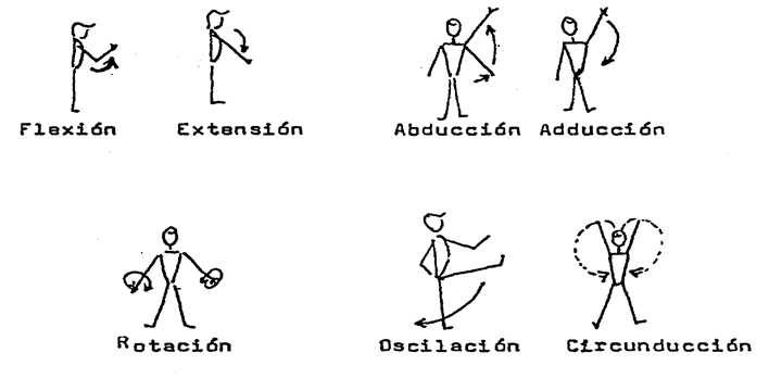 PHYSIOTHERAPY FOR INTERMITTENT CLAUDICATION: A REVIEW ARTICLE image