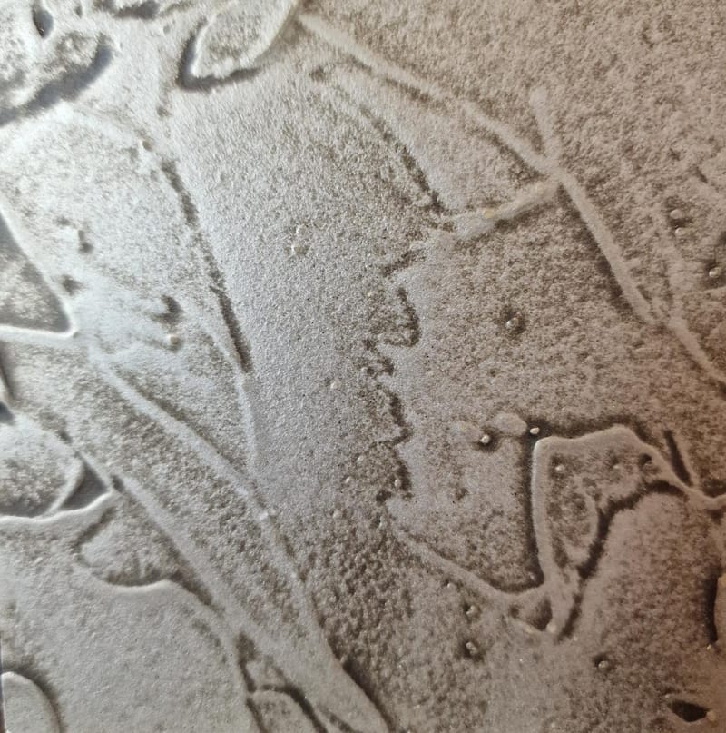 Interworx Specialist finishes