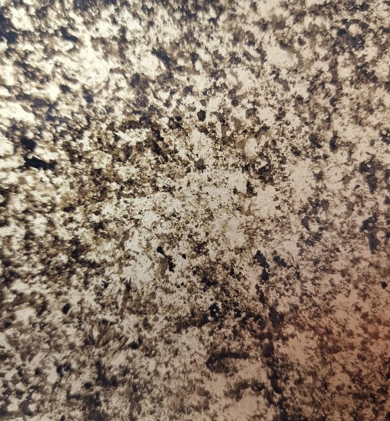 Interworx Specialist finishes