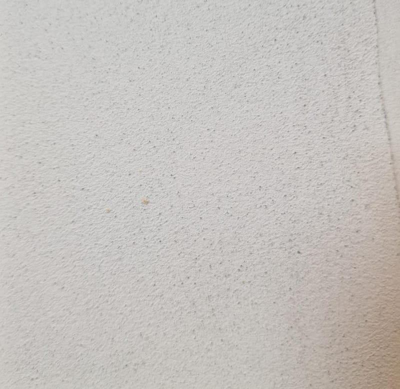 Interworx Specialist finishes