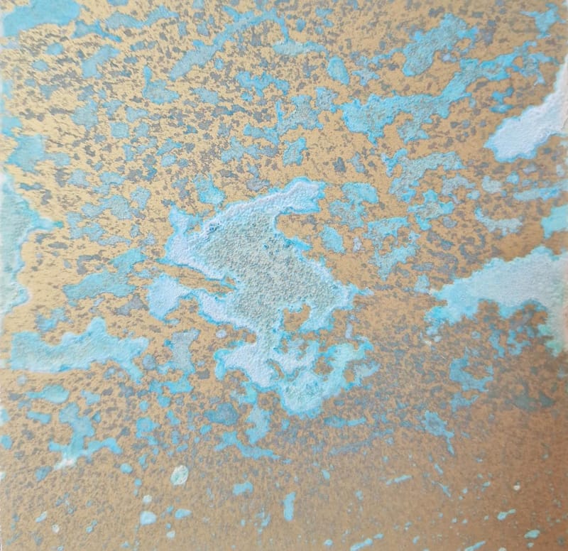 Interworx Specialist finishes