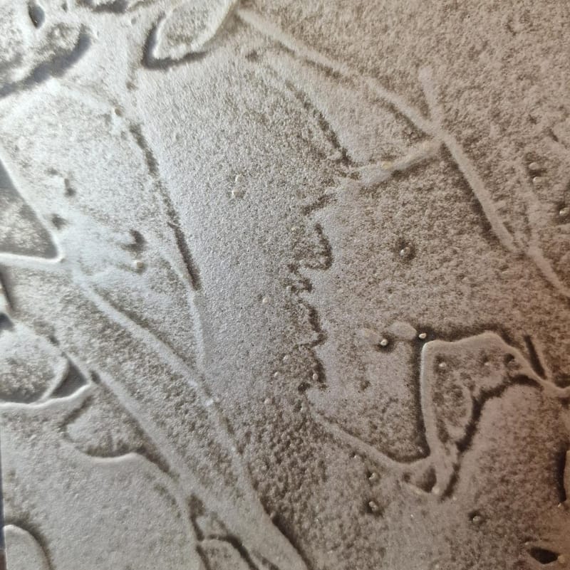 Interworx Specialist finishes