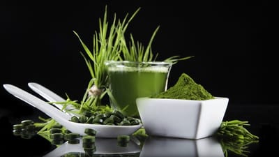 MICRO-ALGAE &amp; NUTRITION image