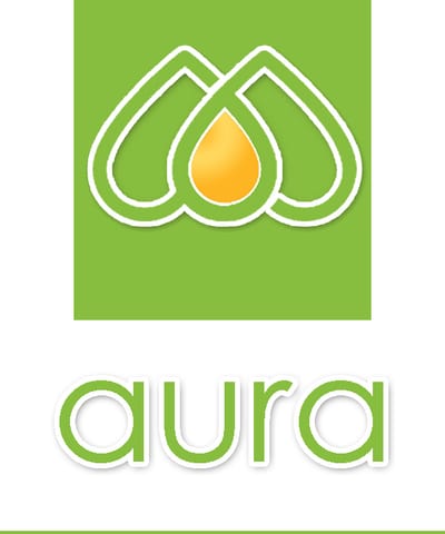 aura-cctv-alappuzha