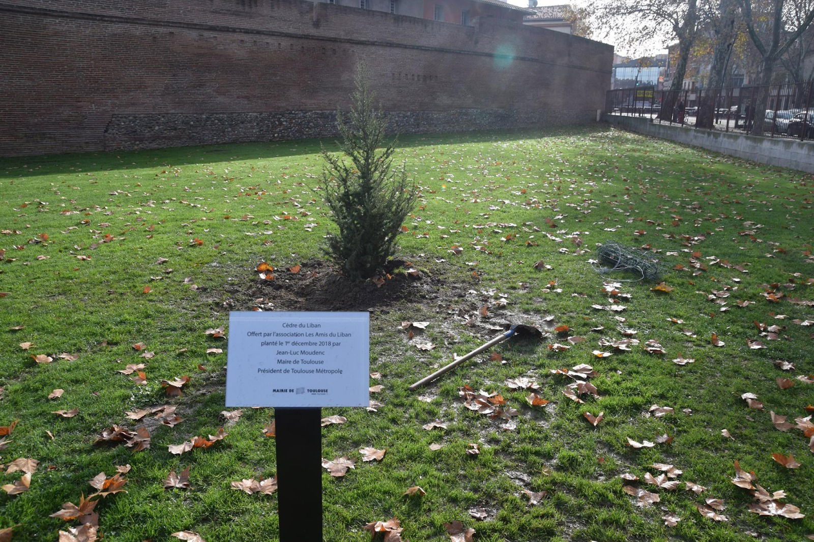 Plantation d'un cèdre du Liban au  jardin Raymond VI à Toulouse