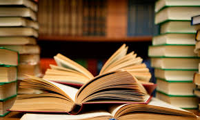 Doktora Bitirme Projesi Danışmanlığı