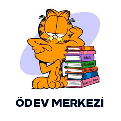 Ön Lisans Bitirme Projesi Danışmanlığı