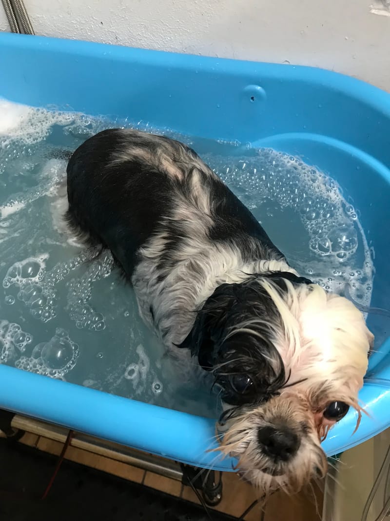 Micro Bubble Spa