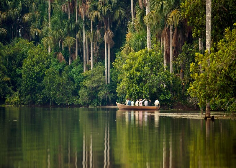 La selva
