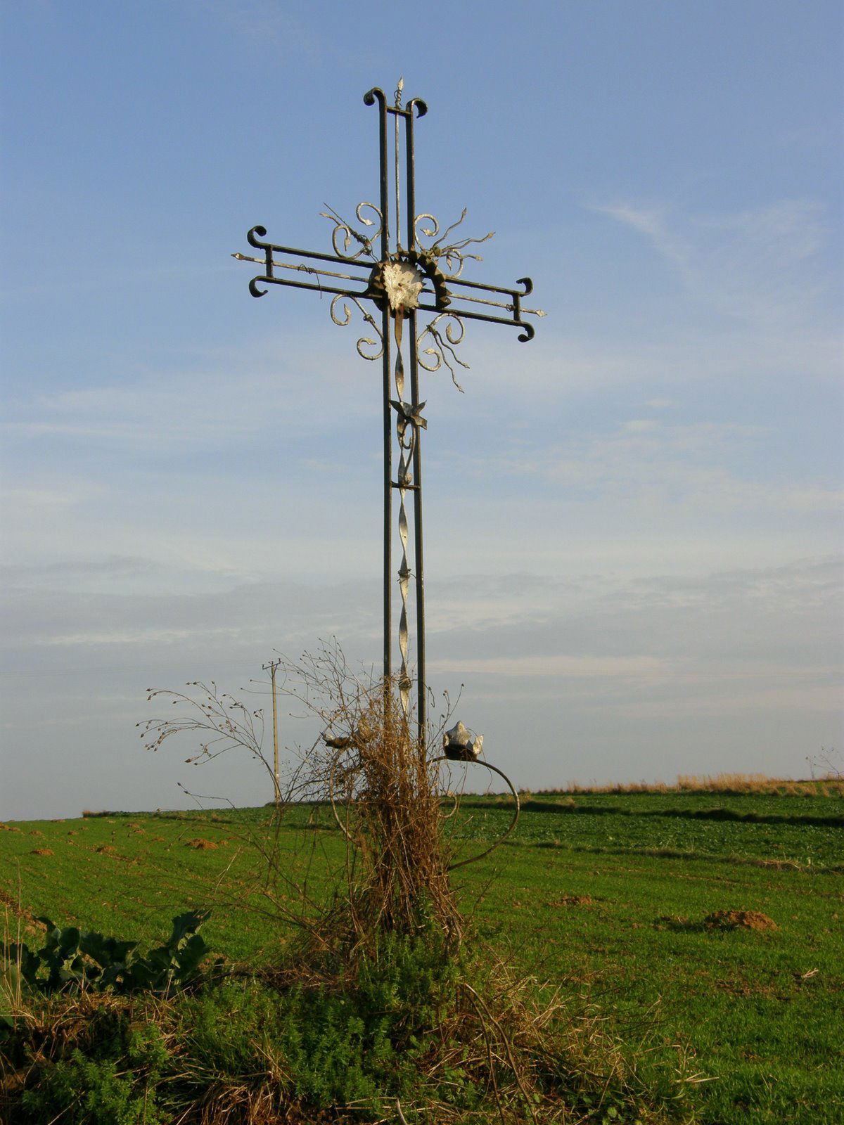 Krzyż w Pilaszkowicach Pierwszych