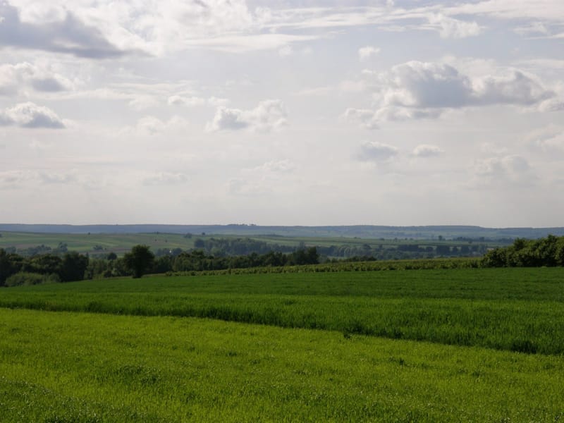 POŚWIĘCENIE PÓL 2019