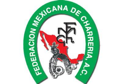 Formato solicitud de Jueces femeniles 2019