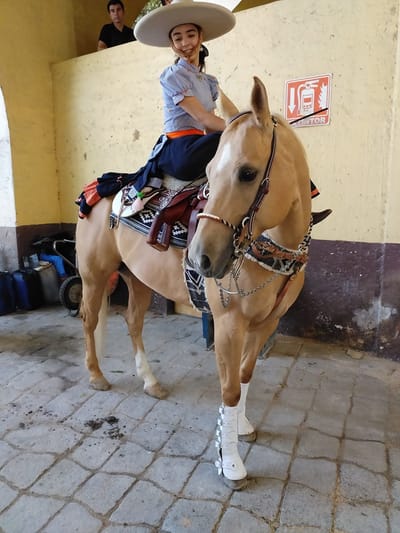 Resultados del Campeonato Estatal del Estado de México 2019