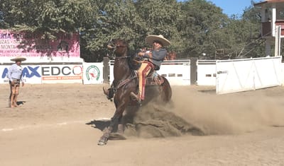 Campeonato Estatal Sinaloa 2020 Etapa Uno